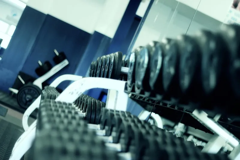 Tu ego tiene nota: In the Weights te dice cuánto vales para la IA