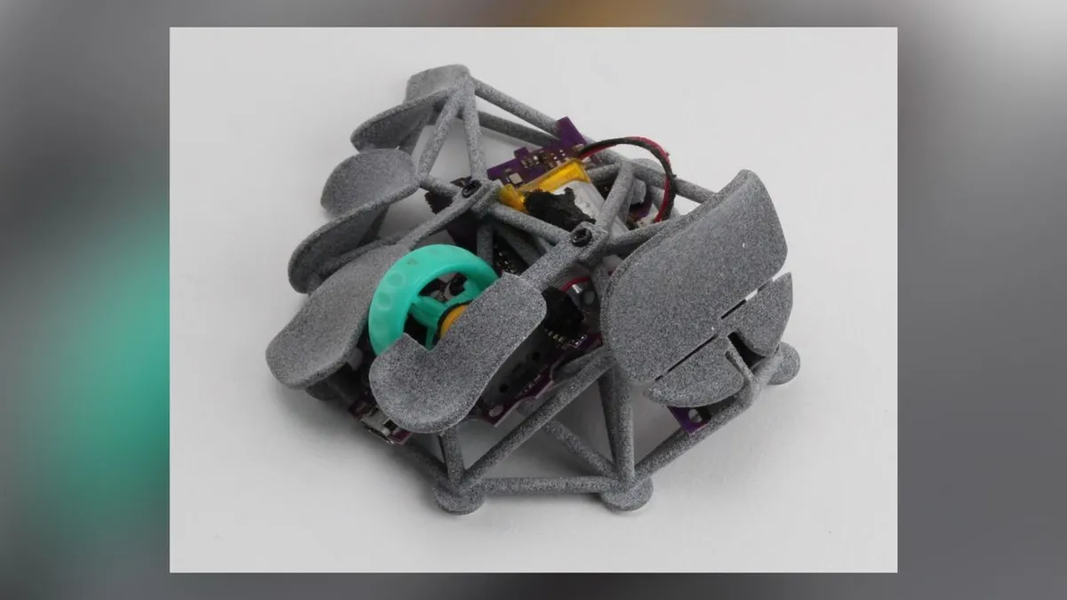 El ratón araña que se come a otro ratón: el DIY más raro que verás hoy