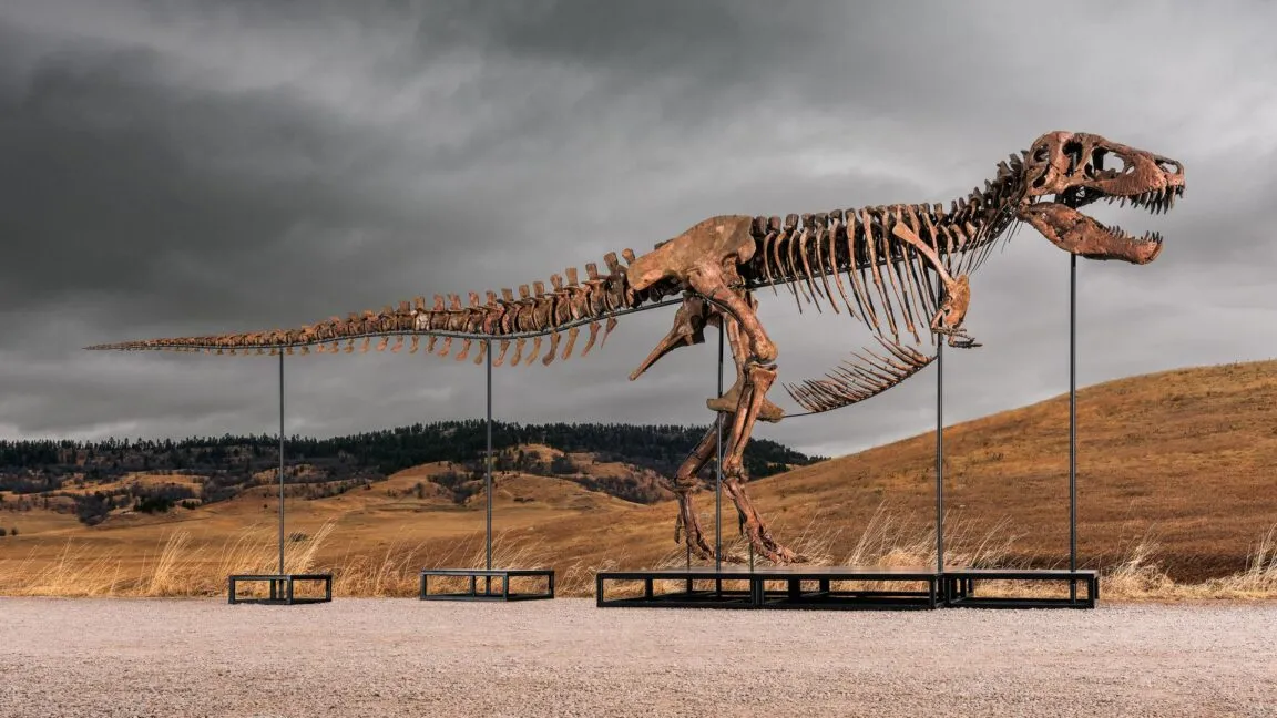 El T. rex de 30 millones de dólares que pone en jaque a la paleontología