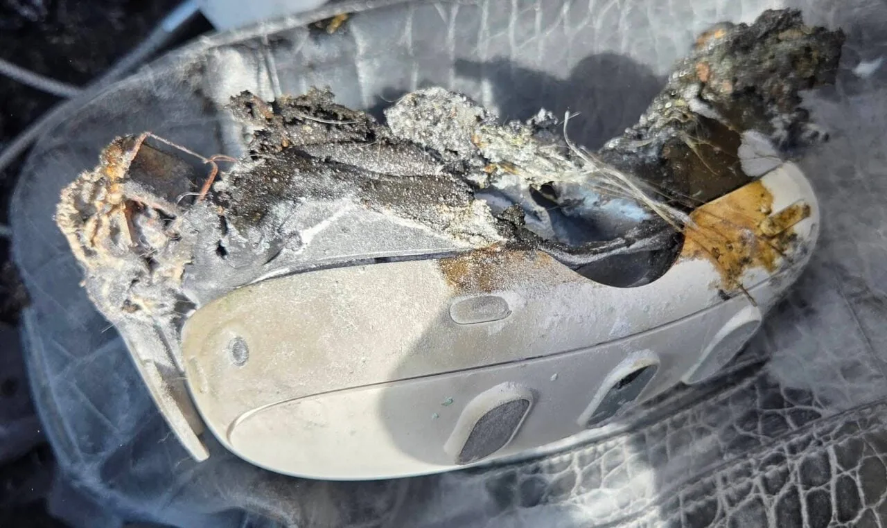 Los bomberos de Frankfort alertan sobre las gafas de realidad virtual tras un vídeo que muestra escombros volando y perros en pánico
